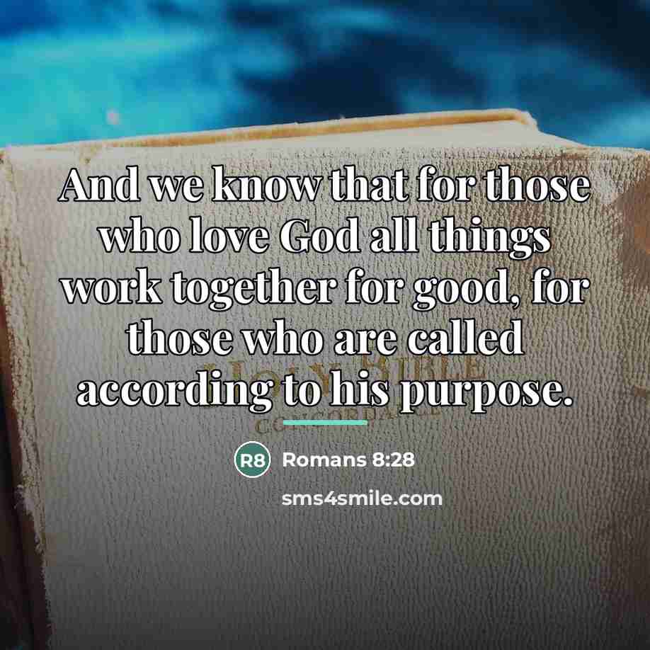 “And we know that for those who love God all…” quote by Romans 8:28