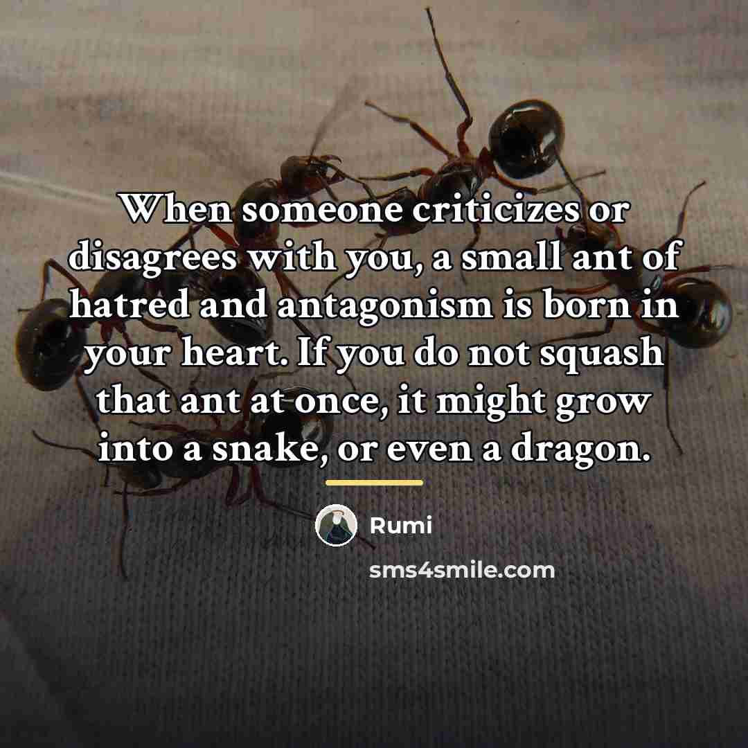 “When someone criticizes or disagrees with you, a small ant…” quote by Rumi