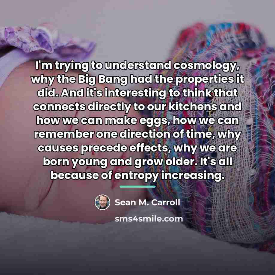 “I'm trying to understand cosmology, why the Big Bang had…” quote by Sean M. Carroll