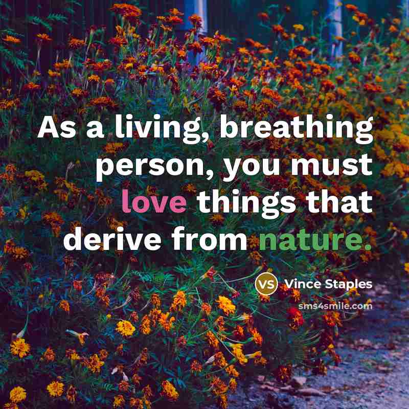 “As a living, breathing person, you must love things that…” quote by Vince Staples