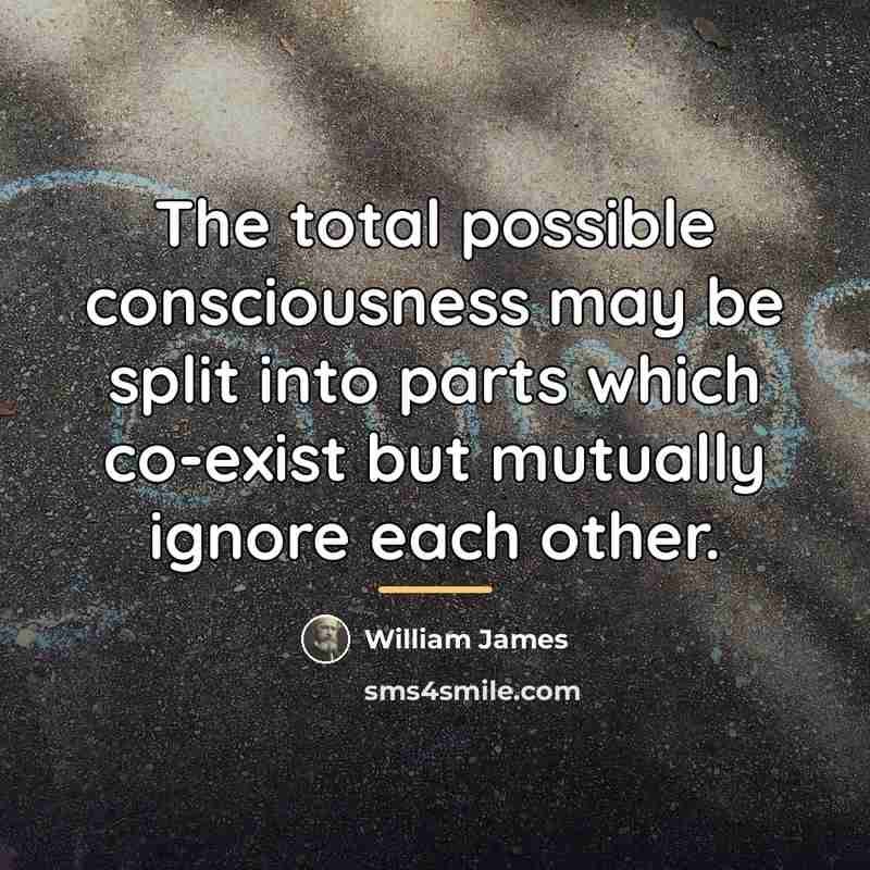 “The total possible consciousness may be split into parts which…” quote by William James