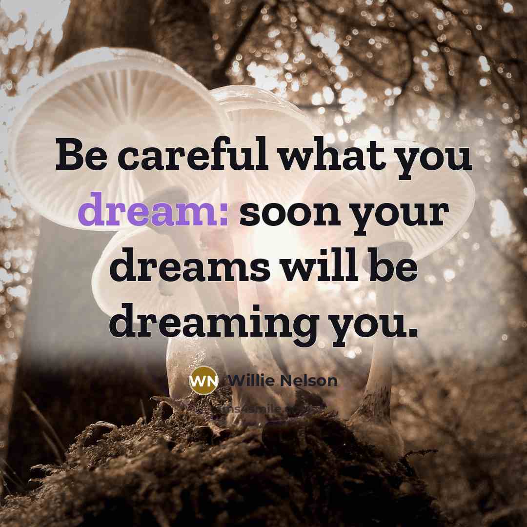 “Be careful what you dream: soon your dreams will be…” quote by Willie Nelson