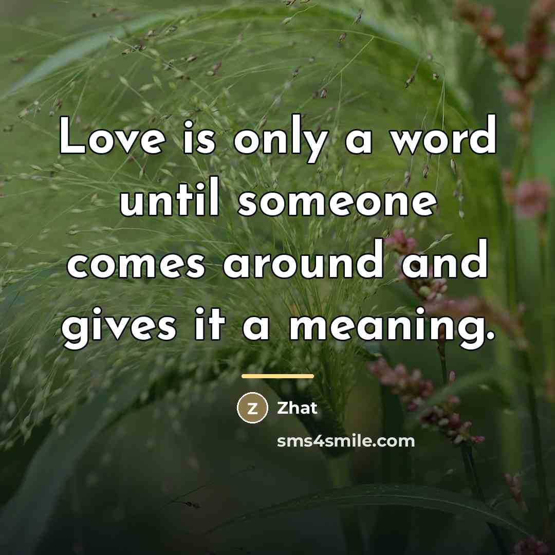 “Love is only a word until someone comes around and…” quote by Zhat
