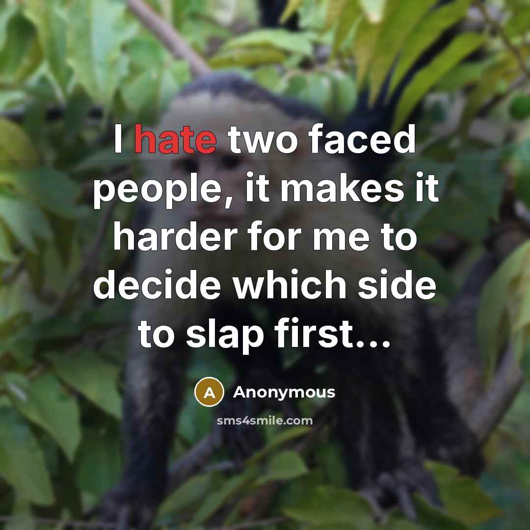 “I hate two faced people, it makes it harder for me to decide which side to slap first...” quote by Anonymous
