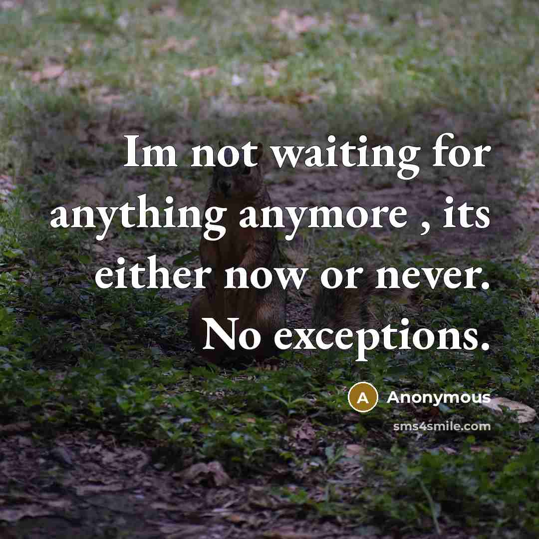 “Im not waiting for anything anymore , its either now or never. No exceptions.” quote by Anonymous