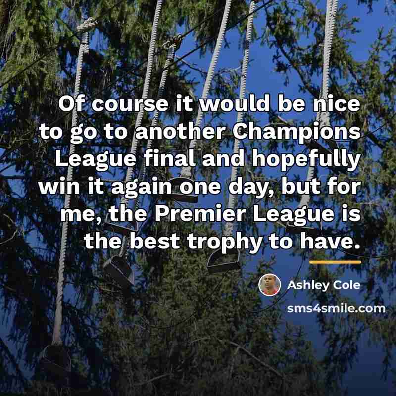 “Of course it would be nice to go to another…” quote by Ashley Cole