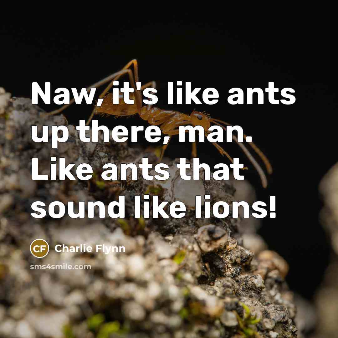 “Naw, it's like ants up there, man. Like ants that…” quote by Charlie Flynn