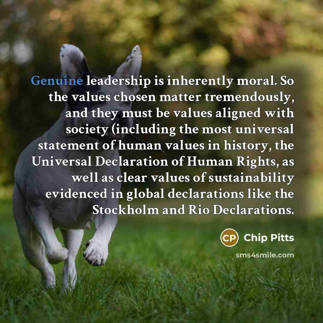 “Genuine leadership is inherently moral. So the values chosen matter…” quote by Chip Pitts