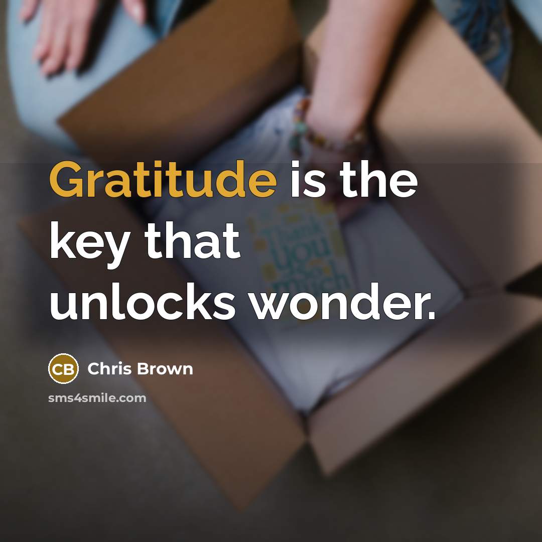 “Gratitude is the key that unlocks wonder.…” quote by Chris Brown