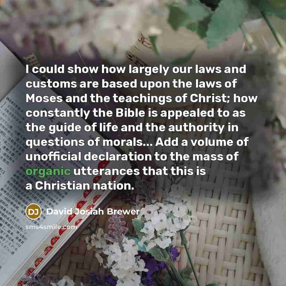 “I could show how largely our laws and customs are…” quote by David Josiah Brewer