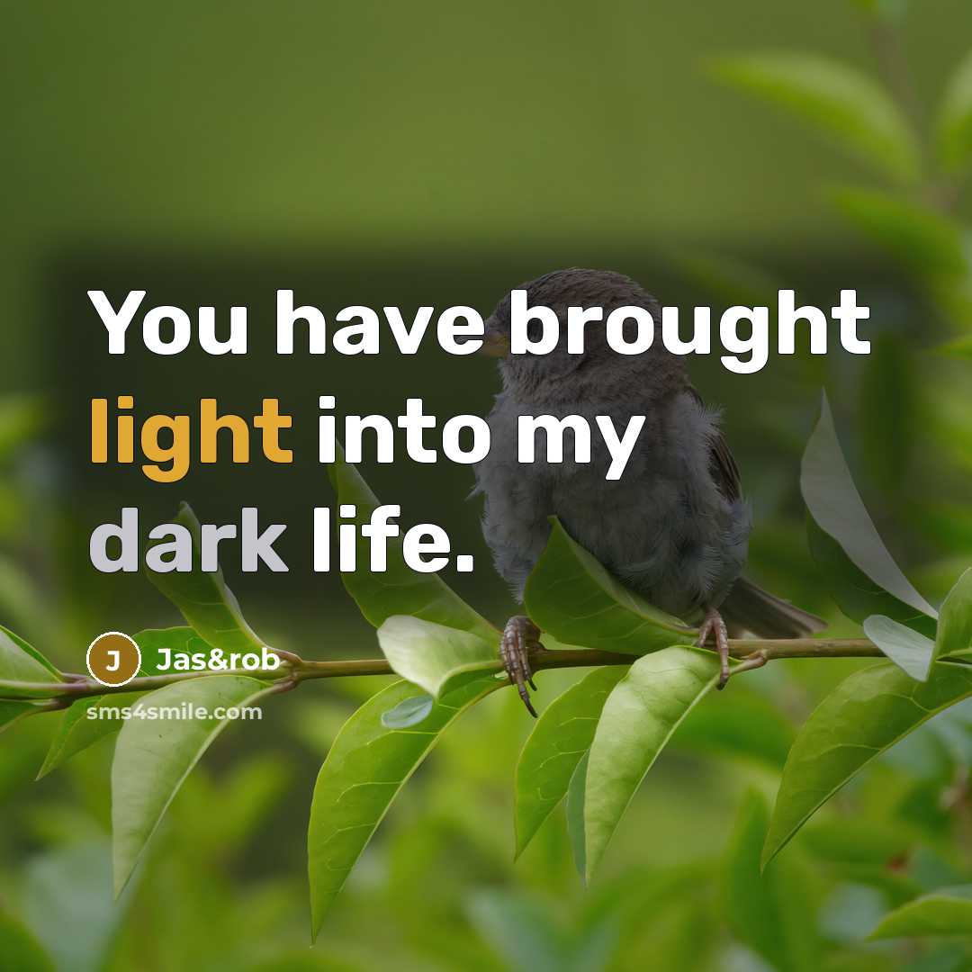 “You have brought light into my dark life.…” quote by Jas&rob