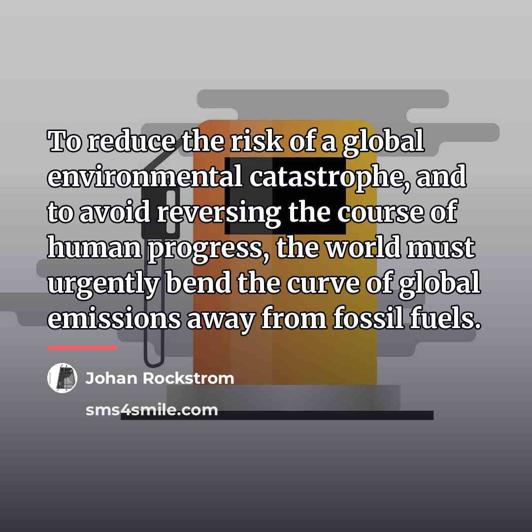 “To reduce the risk of a global environmental catastrophe, and…” quote by Johan Rockstrom