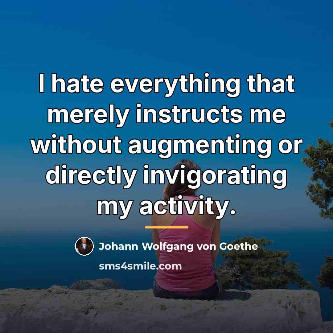 “I hate everything that merely instructs me without augmenting or…” quote by Johann Wolfgang von Goethe