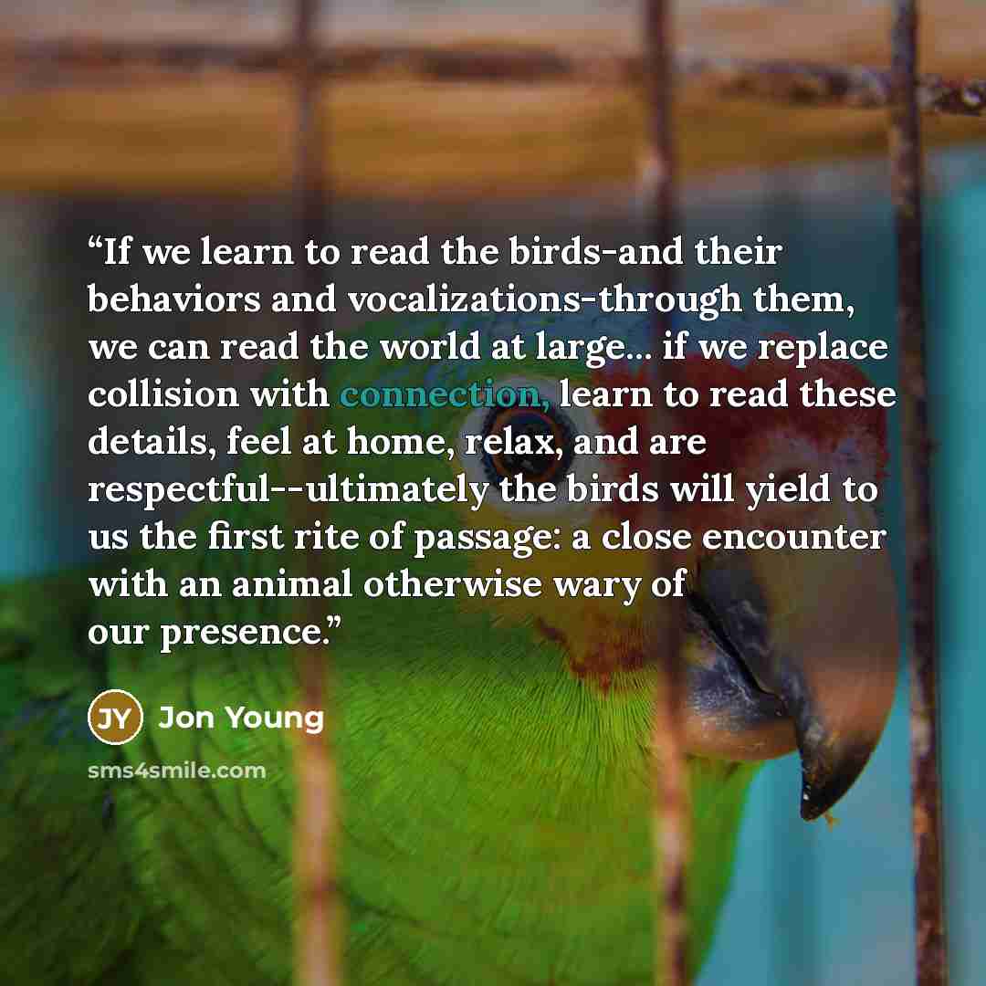“If we learn to read the birds-and their behaviors and vocalizations-through them, we can read the world at large... if we replace collision with connection, learn to read these details, feel at home, relax, and are respectful--ultimately the birds will yield to us the first rite of passage: a…” quote by Jon Young