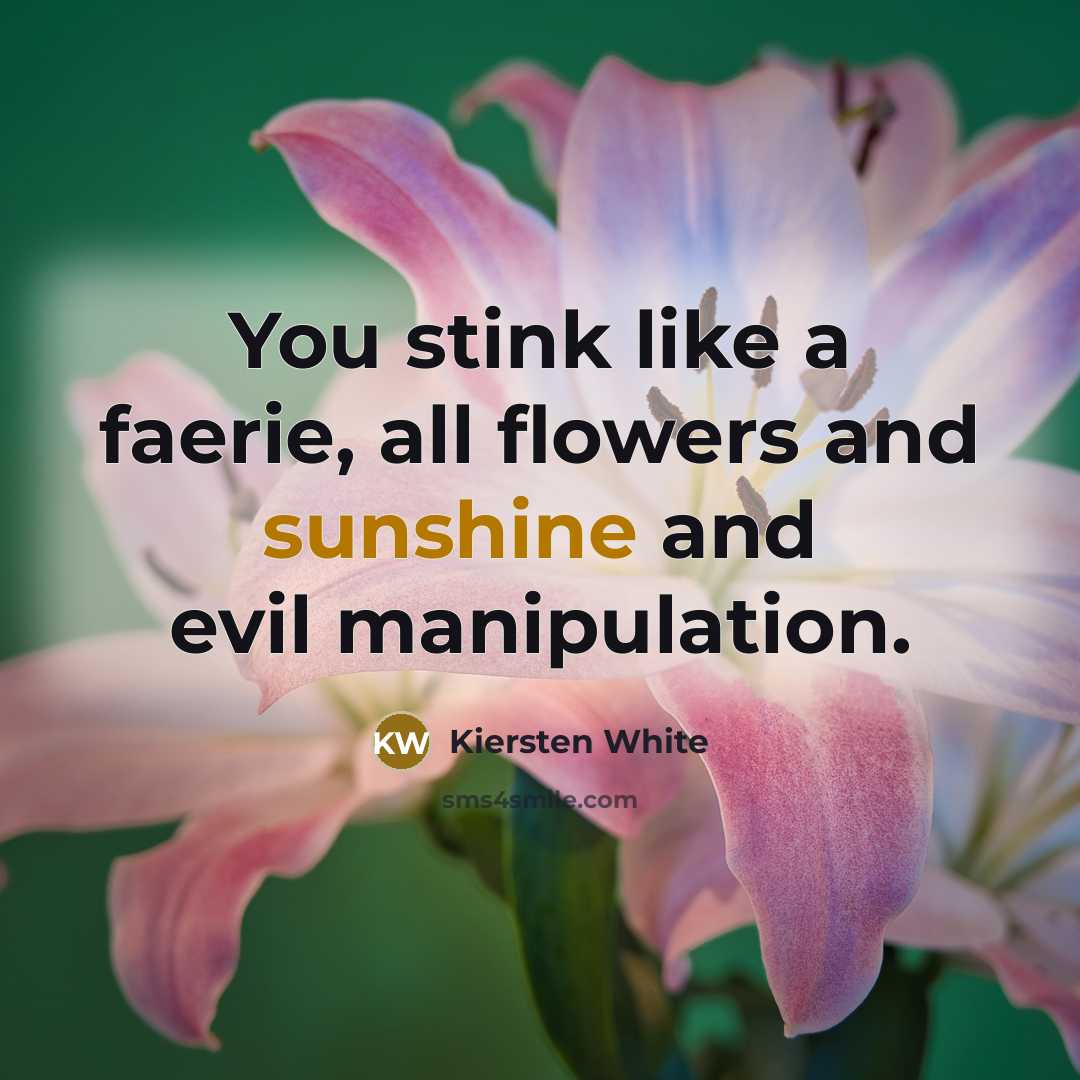 “You stink like a faerie, all flowers and sunshine and…” quote by Kiersten White