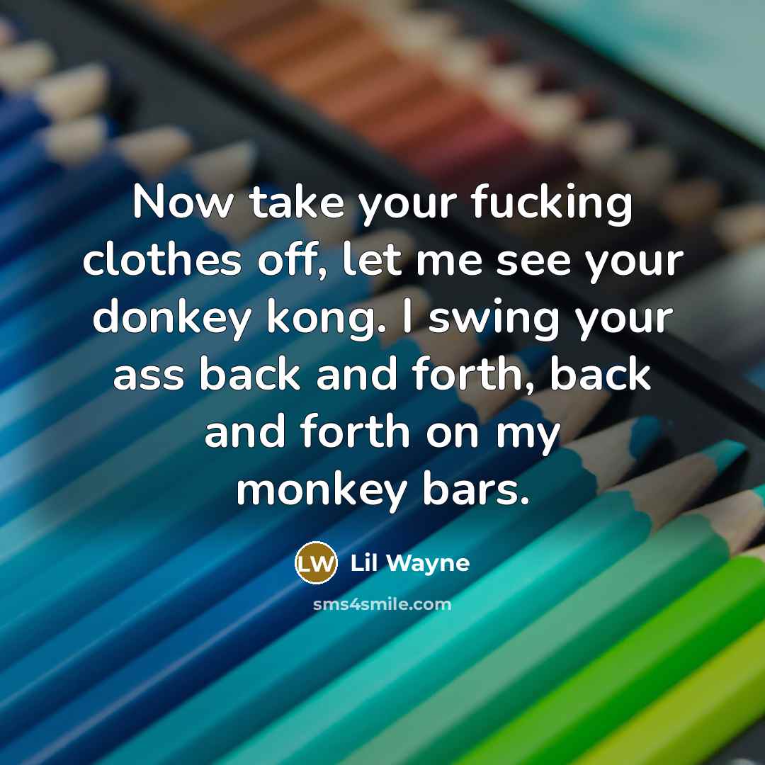 “Now take your fucking clothes off, let me see your donkey kong. I swing your ass back and forth, back and forth on my monkey bars.” quote by Lil Wayne