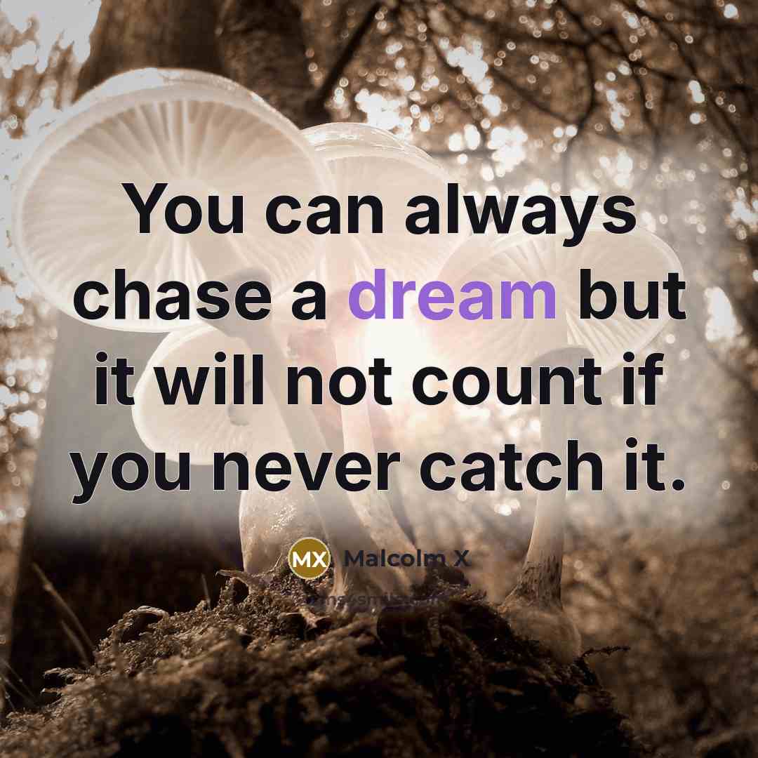 “You can always chase a dream but it will not…” quote by Malcolm X