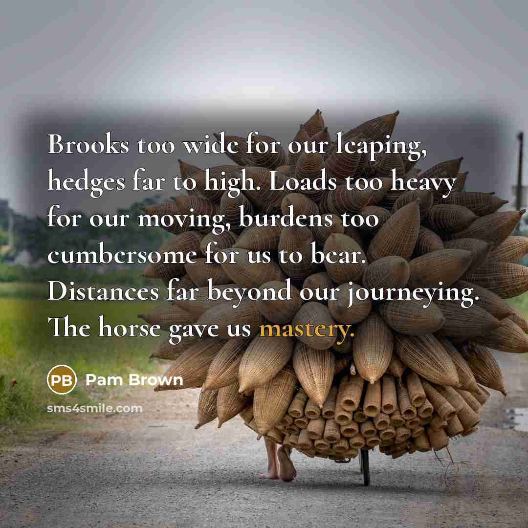 “Brooks too wide for our leaping, hedges far to high.…” quote by Pam Brown