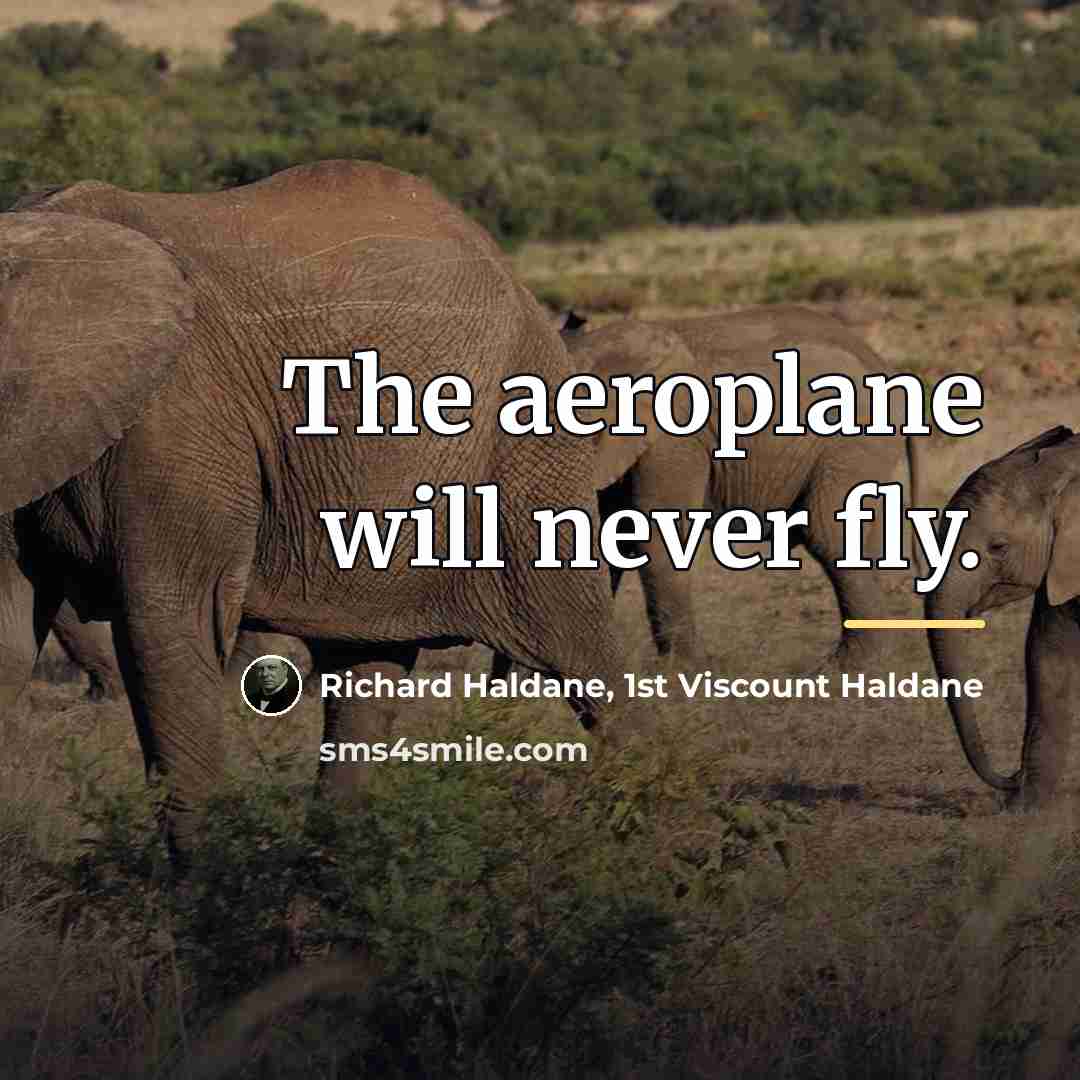 “The aeroplane will never fly.…” quote by 1st Viscount Haldane Richard Haldane
