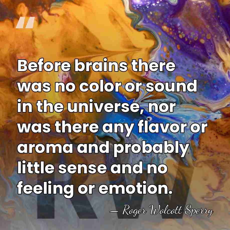 Before brains there was no color or sound in the universe, nor&hellip; - Roger Wolcott Sperry