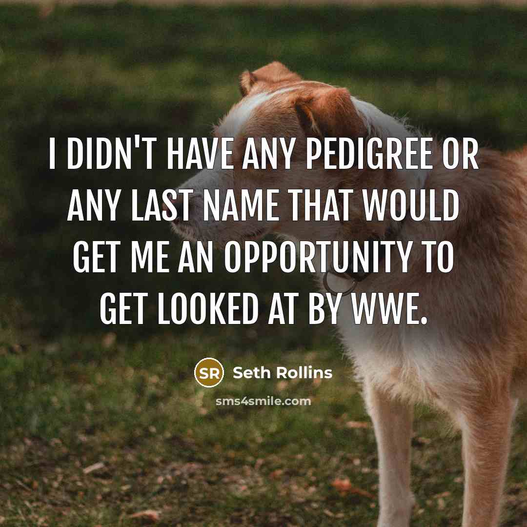 “I didn't have any pedigree or any last name that…” quote by Seth Rollins