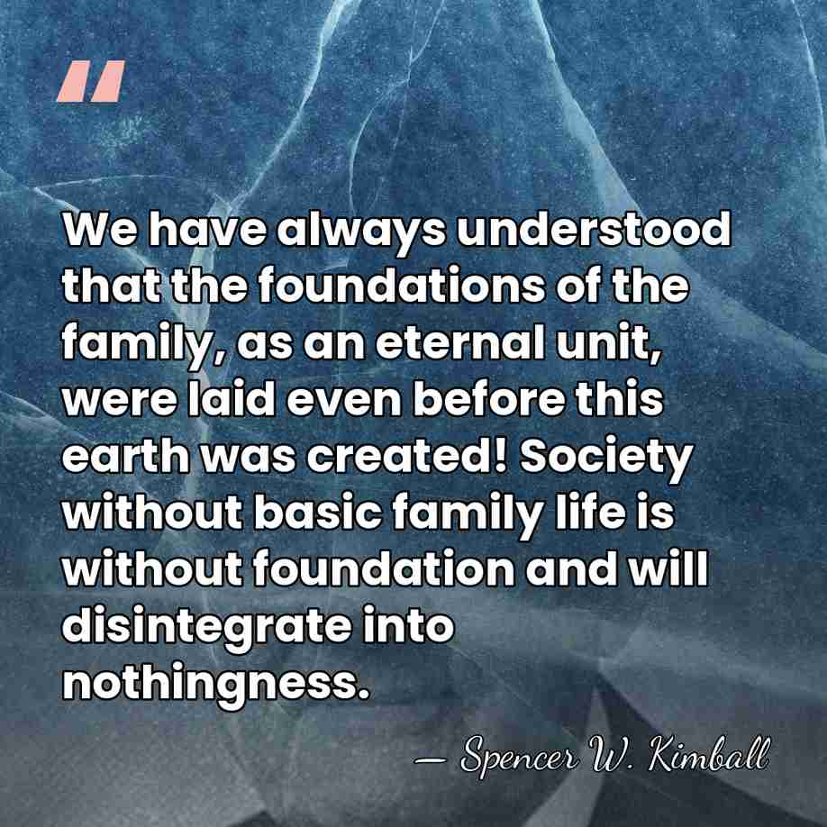 We have always understood that the foundations of the family, as an&hellip; - Spencer W. Kimball