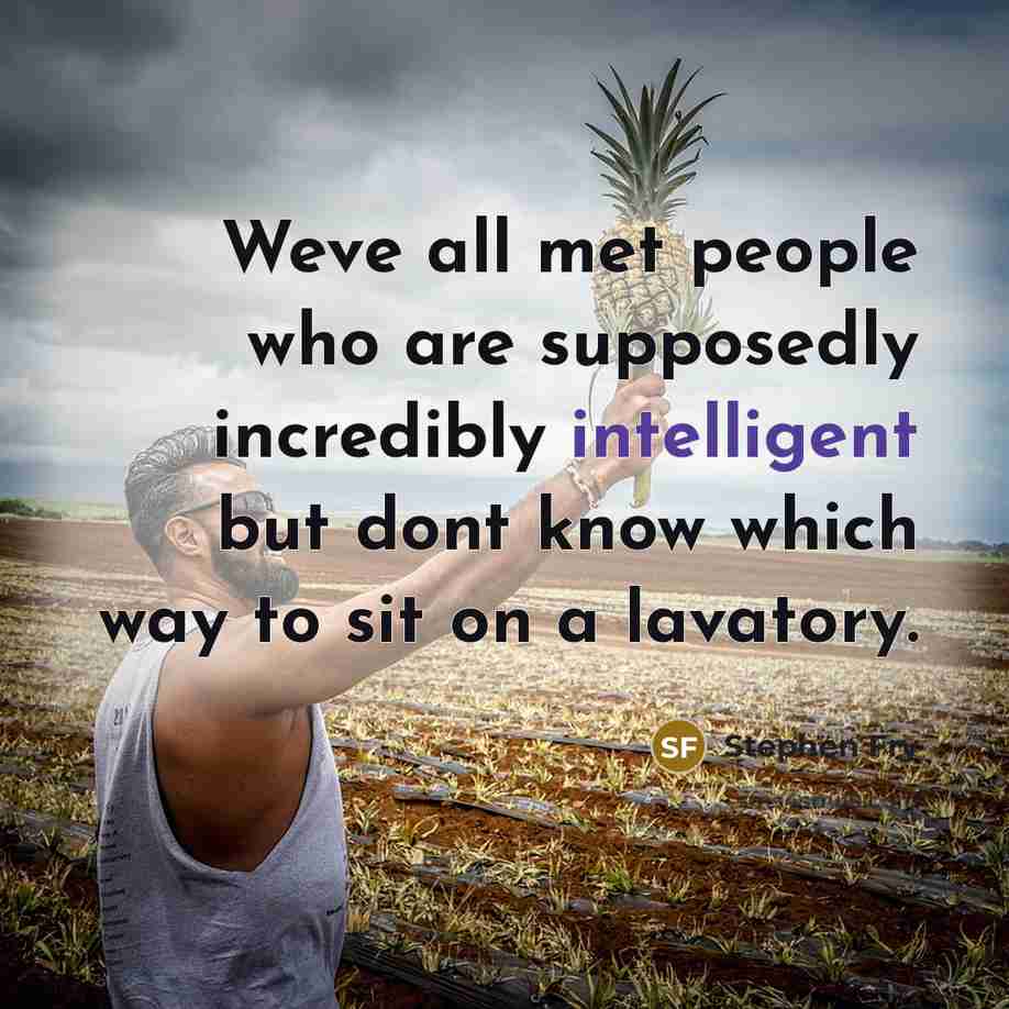 “Weve all met people who are supposedly incredibly intelligent but…” quote by Stephen Fry