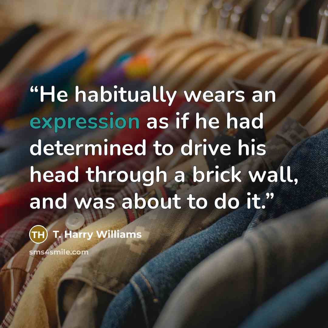 “He habitually wears an expression as if he had determined to drive his head through a brick wall, and was about to do it.” quote by T. Harry Williams
