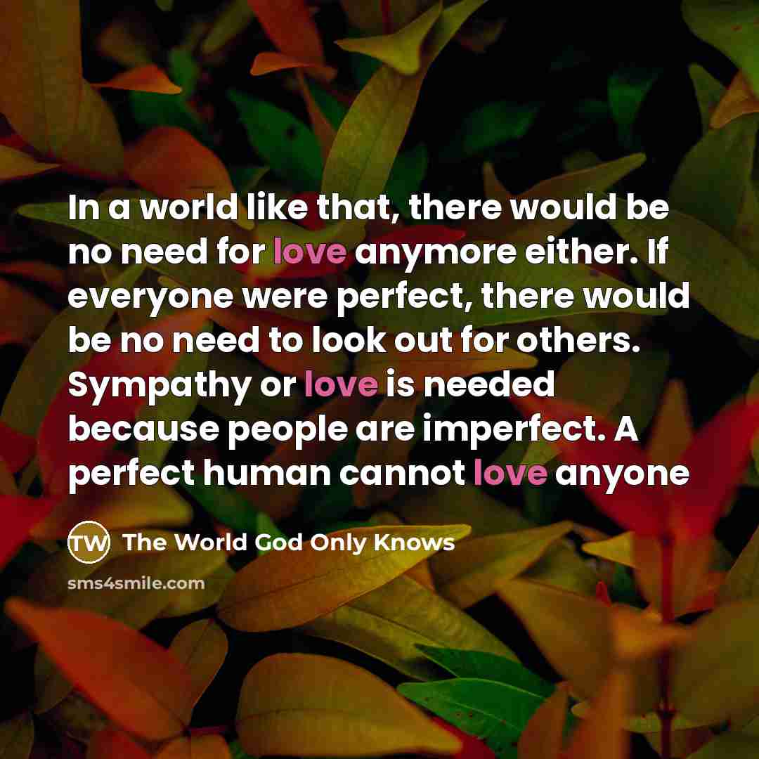 “In a world like that, there would be no need for love anymore either. If everyone were perfect, there would be no need to look out for others. Sympathy or love is needed because people are imperfect. A perfect human cannot love anyone” quote by The World God Only Knows