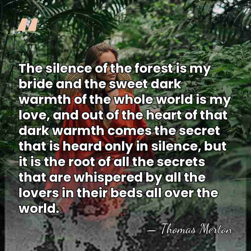The silence of the forest is my bride and the sweet dark&hellip; - Thomas Merton