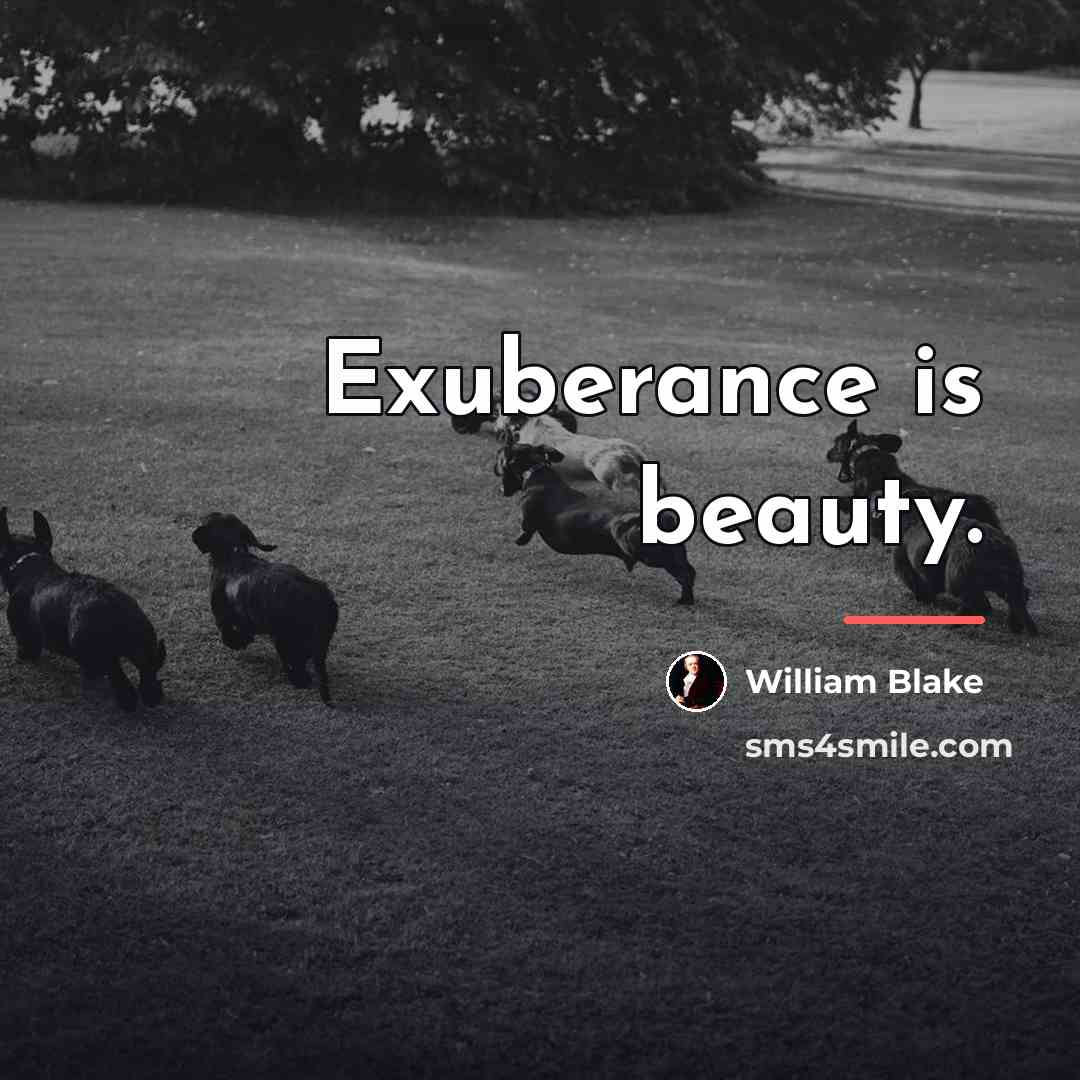 “Exuberance is beauty.…” quote by William Blake