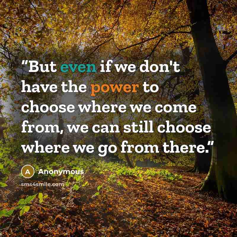 “But even if we don't have the power to choose where we come from, we can still choose where we go from there.” quote by Anonymous