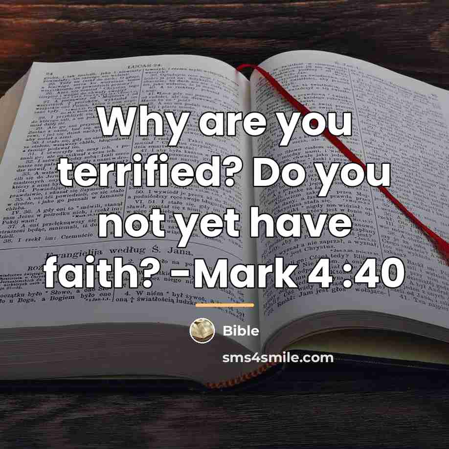 “Why are you terrified? Do you not yet have faith?…” quote by Bible