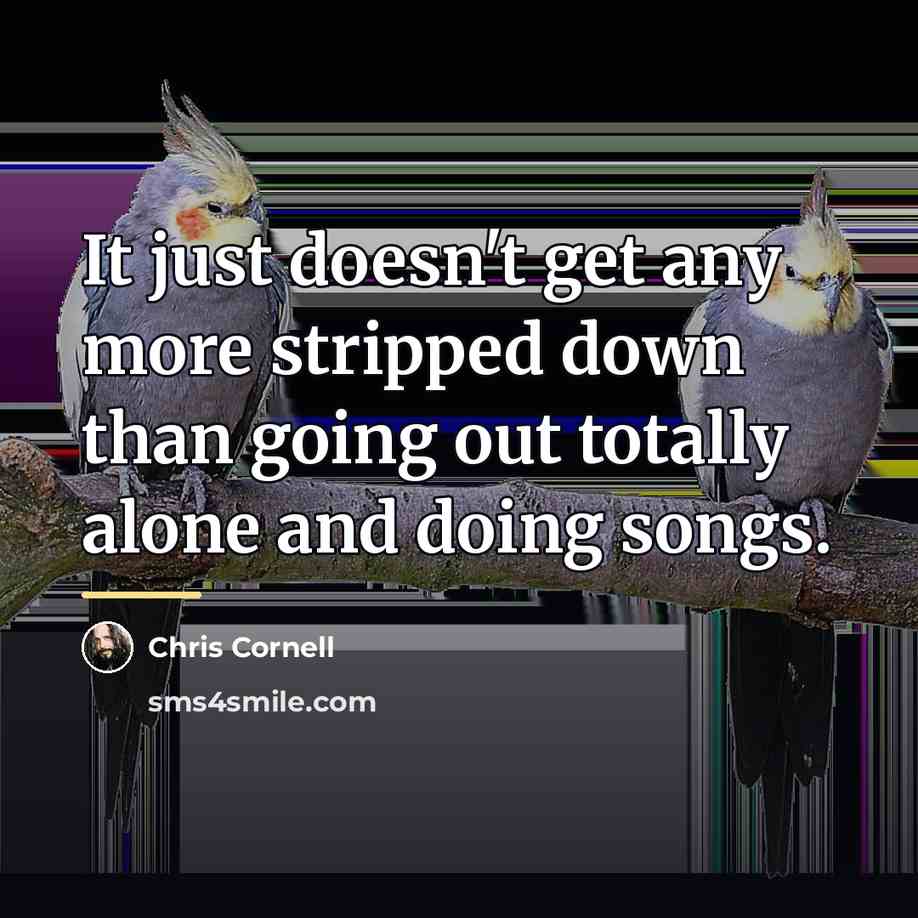 “It just doesn't get any more stripped down than going…” quote by Chris Cornell