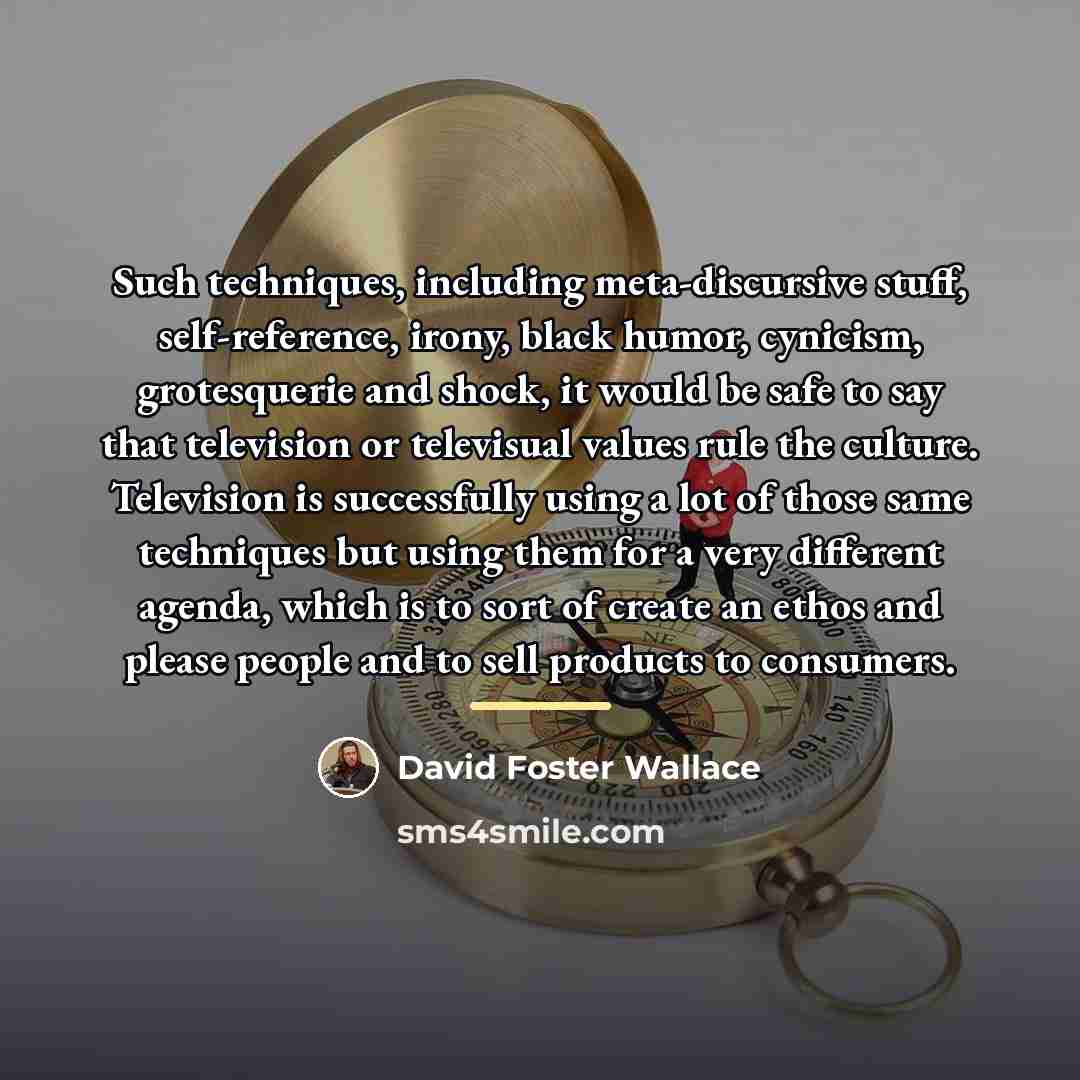 “Such techniques, including meta-discursive stuff, self-reference, irony, black humor, cynicism,…” quote by David Foster Wallace