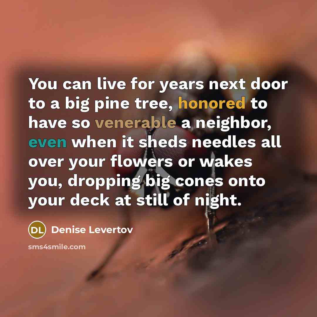 “You can live for years next door to a big…” quote by Denise Levertov