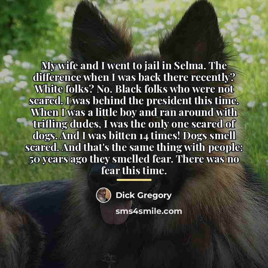 “My wife and I went to jail in Selma. The…” quote by Dick Gregory
