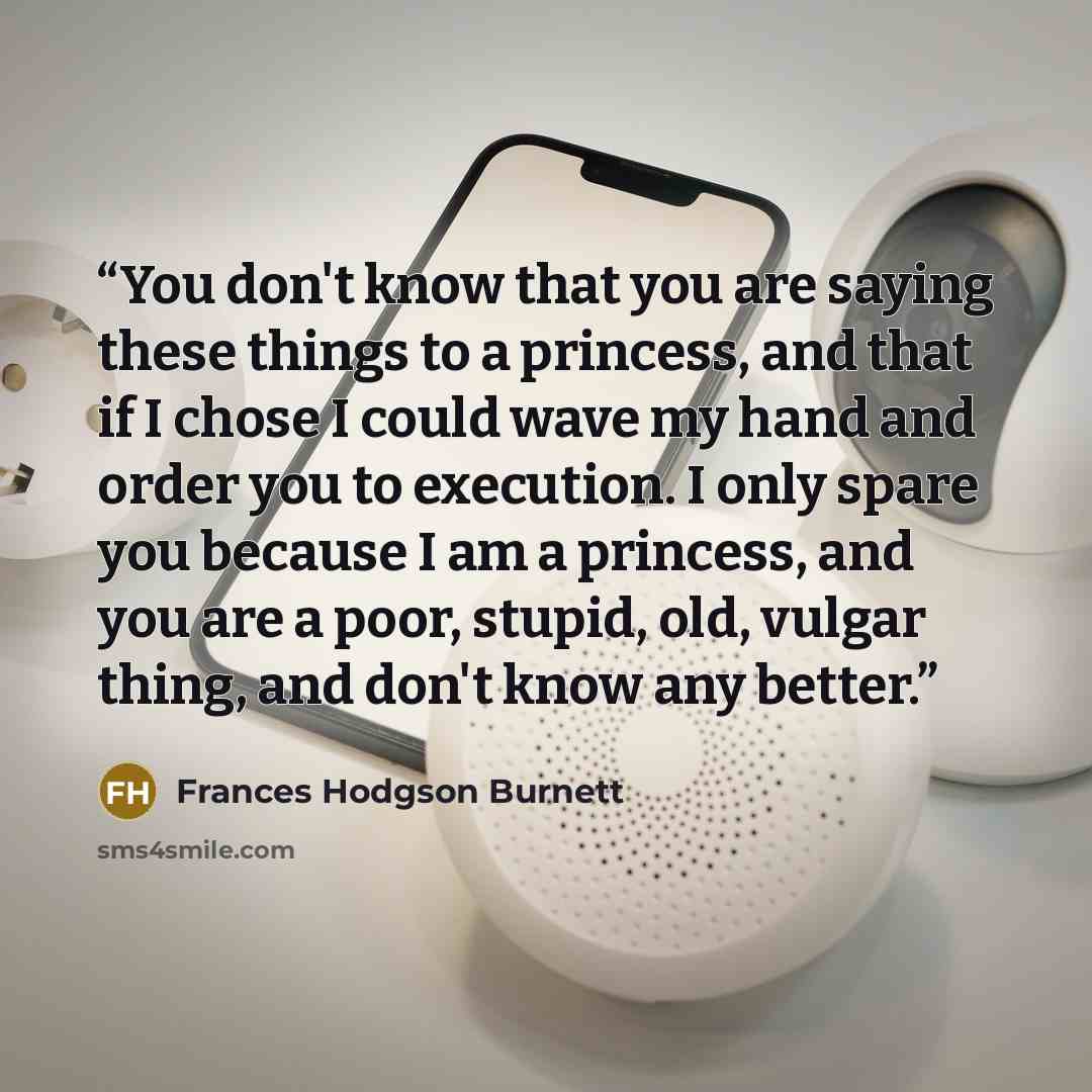 “You don't know that you are saying these things to a princess, and that if I chose I could wave my hand and order you to execution. I only spare you because I am a princess, and you are a poor, stupid, old, vulgar thing, and don't know any better.” quote by Frances Hodgson Burnett