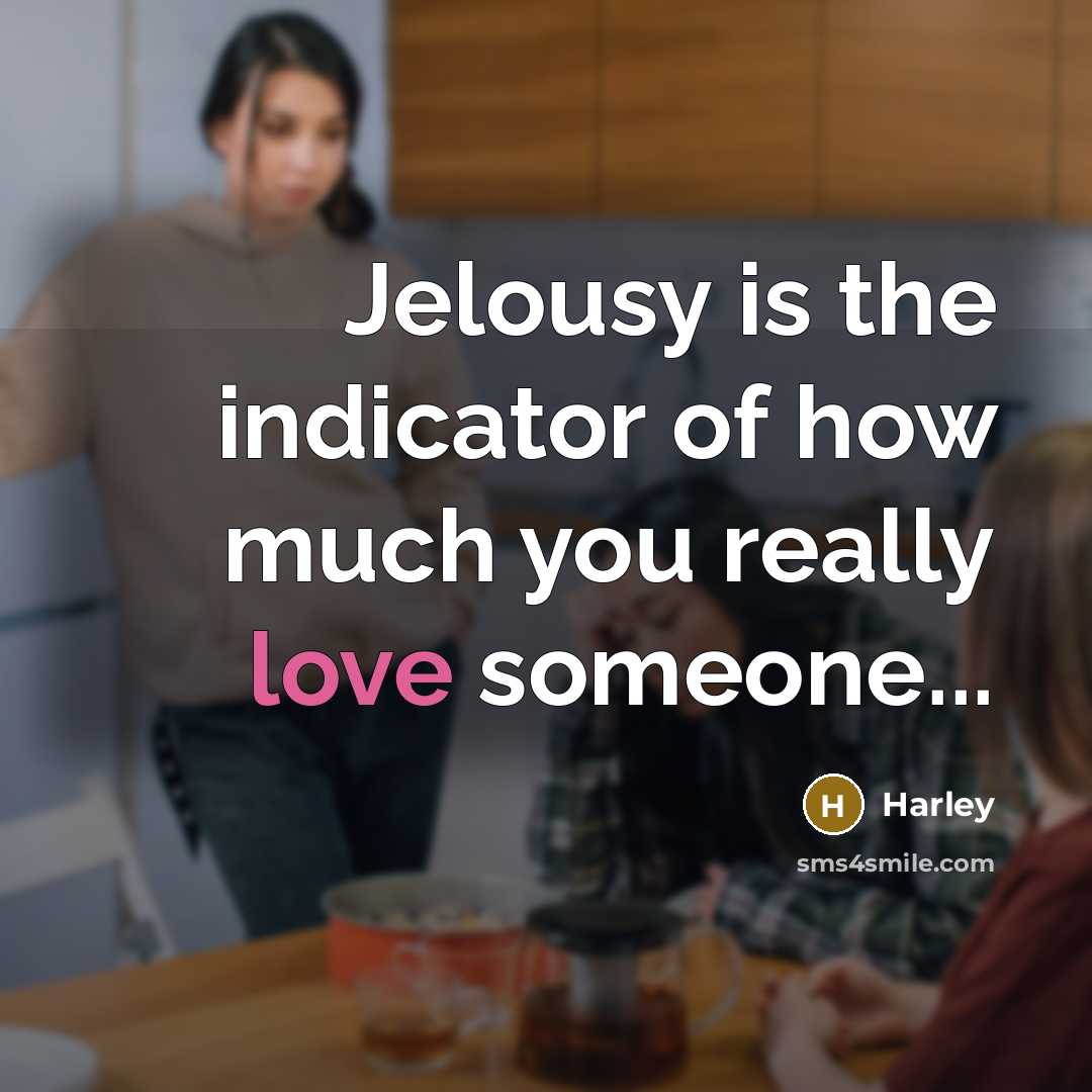 “Jelousy is the indicator of how much you really love someone...” quote by Harley