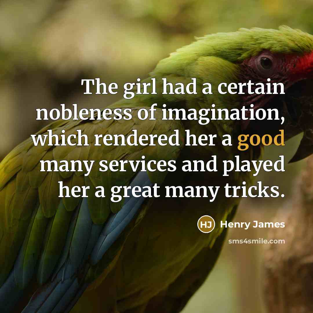 “The girl had a certain nobleness of imagination, which rendered…” quote by Henry James