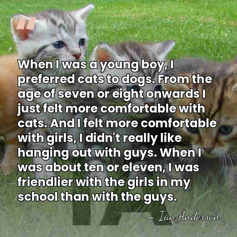 When I was a young boy, I preferred cats to dogs. From&hellip; - Ian Anderson