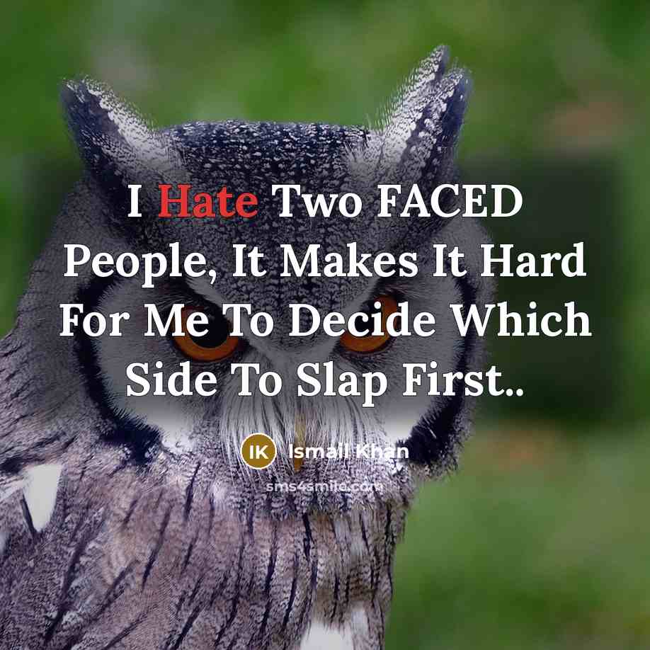 “I Hate Two FACED People, It Makes It Hard For Me To Decide Which Side To Slap First..” quote by Ismail Khan