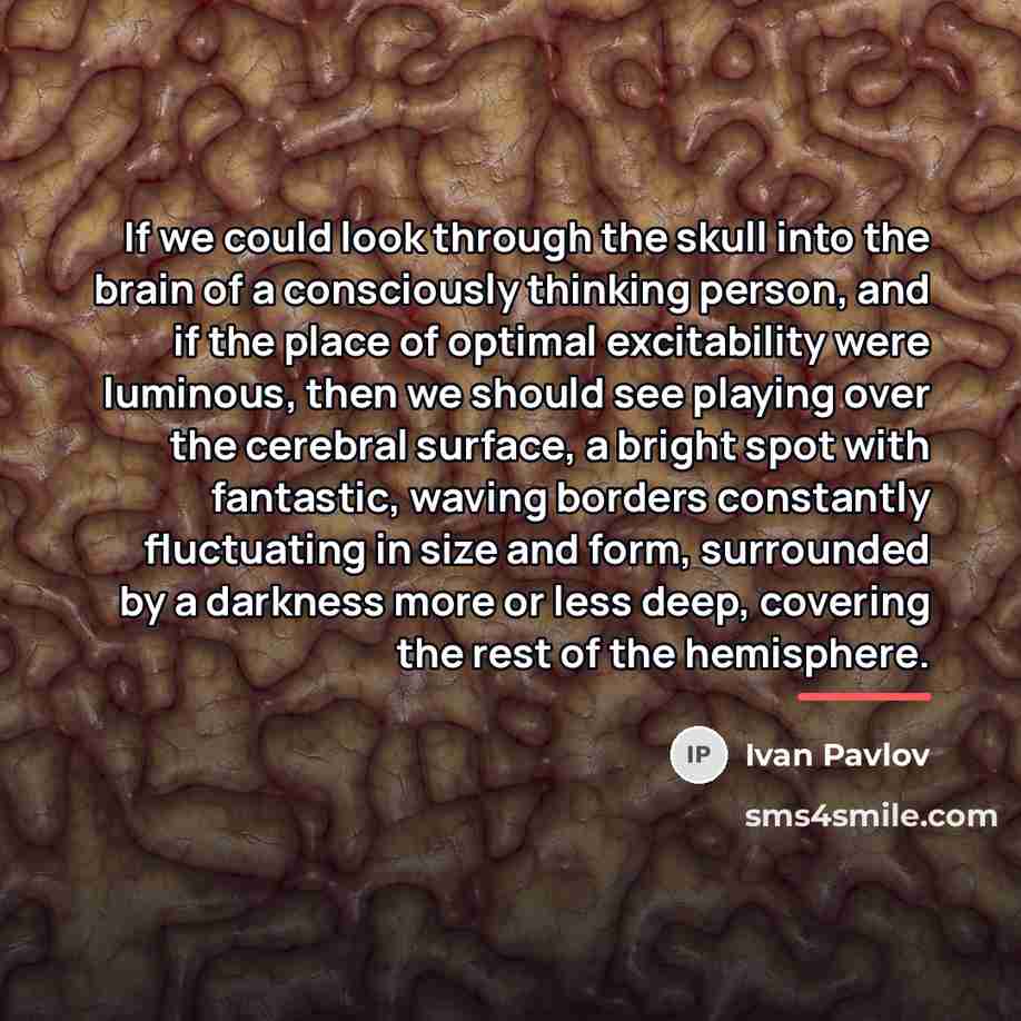 “If we could look through the skull into the brain…” quote by Ivan Pavlov