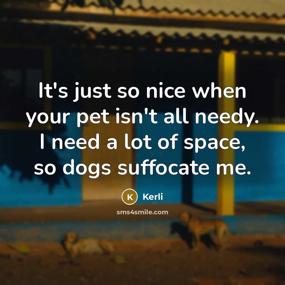 “It's just so nice when your pet isn't all needy.…” quote by Kerli