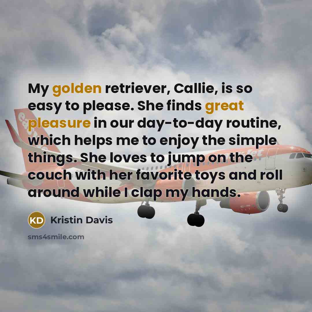 “My golden retriever, Callie, is so easy to please. She finds great pleasure in our day-to-day routine, which helps me to enjoy the simple things. She loves to jump on the couch with her favorite toys and roll around while I clap my hands.” quote by Kristin Davis