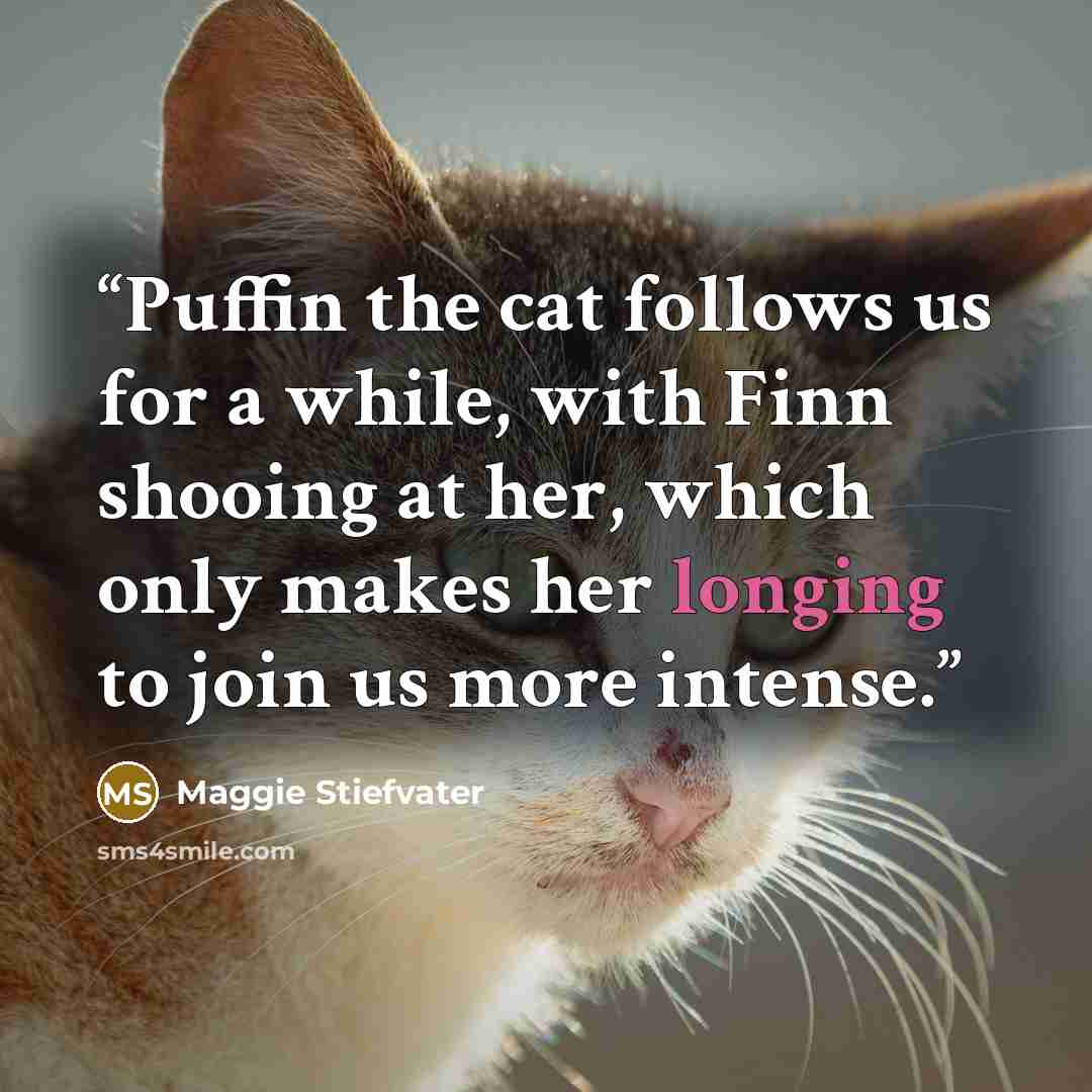 “Puffin the cat follows us for a while, with Finn shooing at her, which only makes her longing to join us more intense.” quote by Maggie Stiefvater
