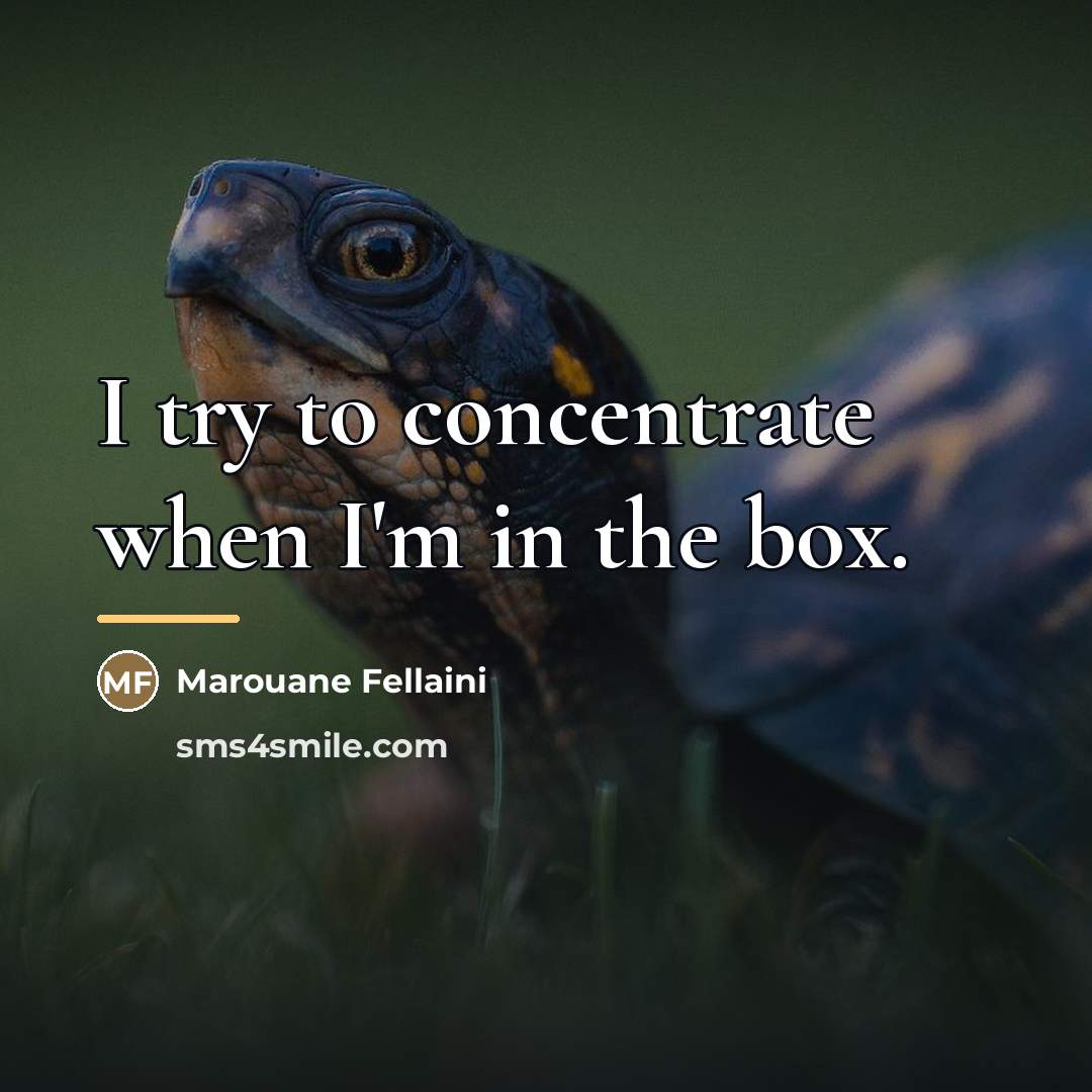 “I try to concentrate when I'm in the box.…” quote by Marouane Fellaini