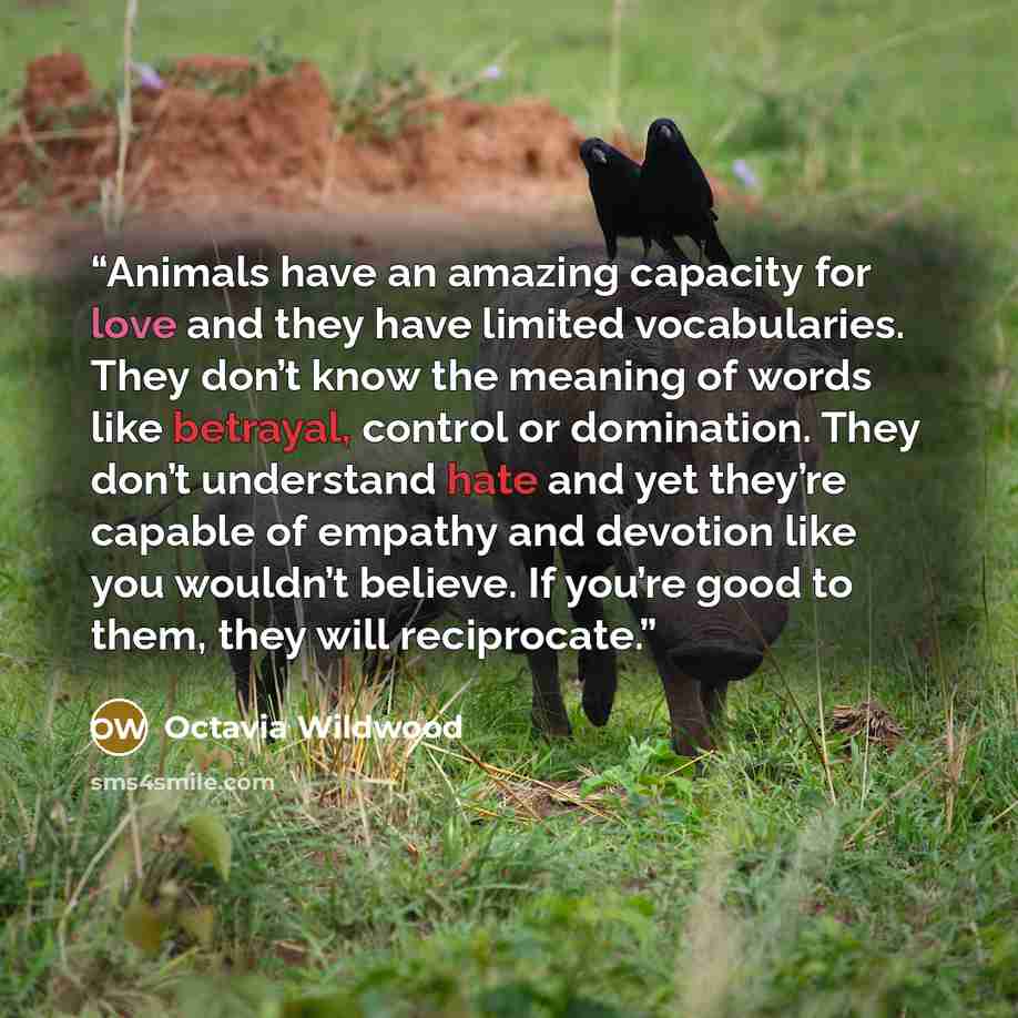 “Animals have an amazing capacity for love and they have limited vocabularies. They don’t know the meaning of words like betrayal, control or domination. They don’t understand hate and yet they’re capable of empathy and devotion like you wouldn’t believe. If you’re good to them, they will…” quote by Octavia Wildwood