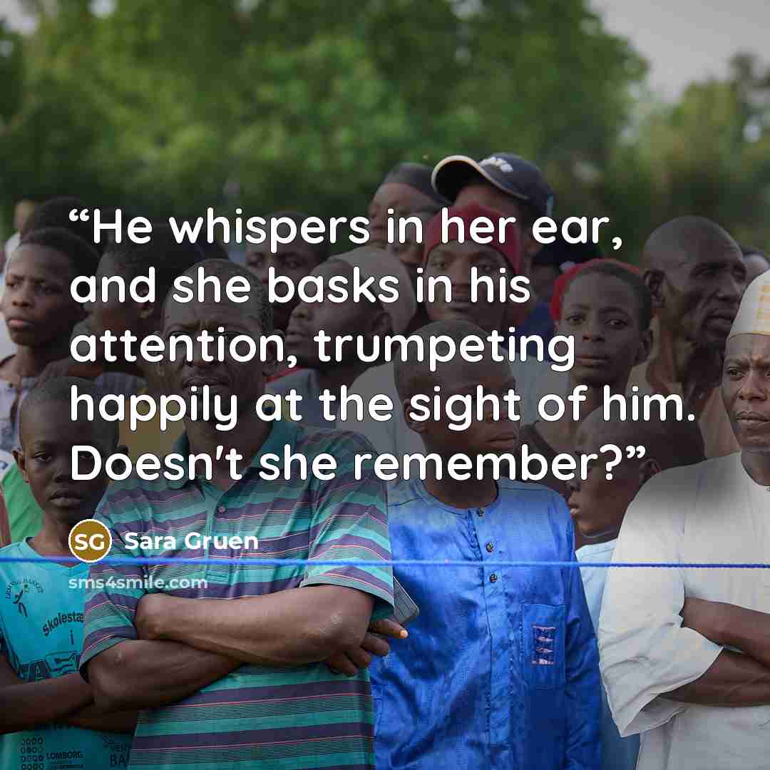 “He whispers in her ear, and she basks in his attention, trumpeting happily at the sight of him. Doesn't she remember?” quote by Sara Gruen