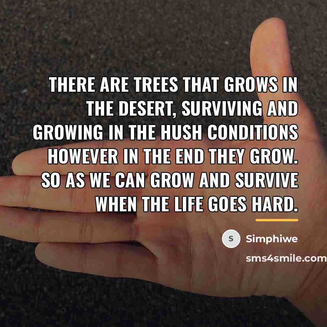 “There are trees that grows in the desert, surviving and…” quote by Simphiwe